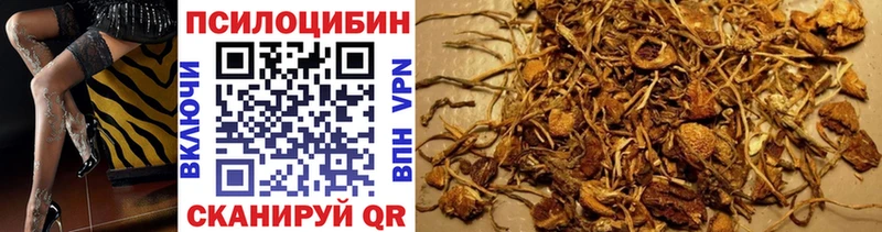 kraken зеркало  Бавлы  Псилоцибиновые грибы GOLDEN TEACHER 